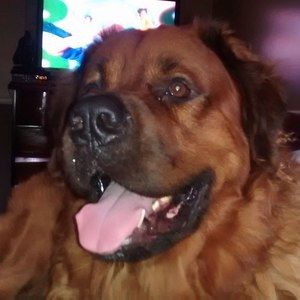 Meet your Posher, Danny